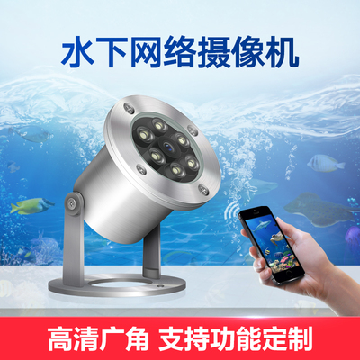 水下监控