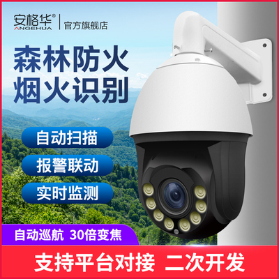森林防火烟火识别变焦球机