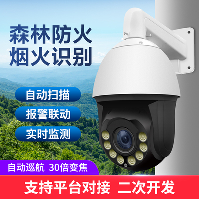 森林防火烟火识别变焦球机