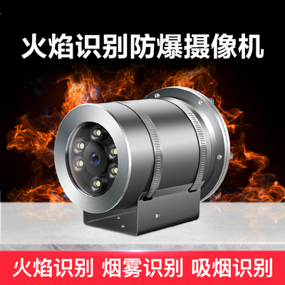 烟火识别防爆摄像机A16
