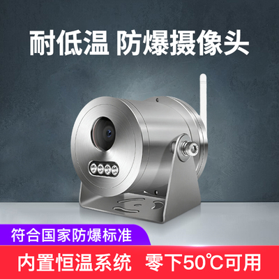 耐低温防爆摄像机